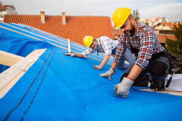 Best Roof Gutter Cleaning  in Miami Heights, OH